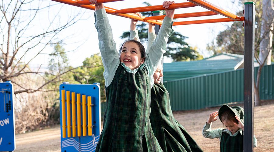 Students using the monkey bars, engaging in physical activity and play